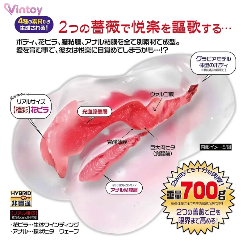 Thiết kế chi tiết từ 3 loại silicone cao cấp