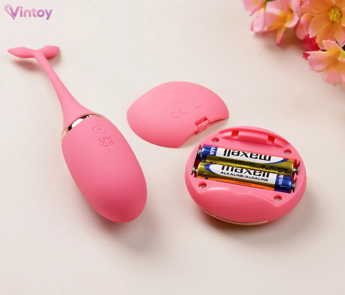 trứng-rung-cá-heo-8